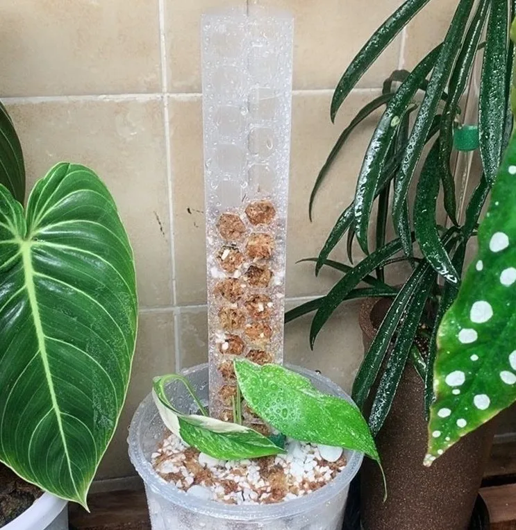 Plastic Moss Pole Indoor Plant Extension Poles for Climbing Plants support pole,
