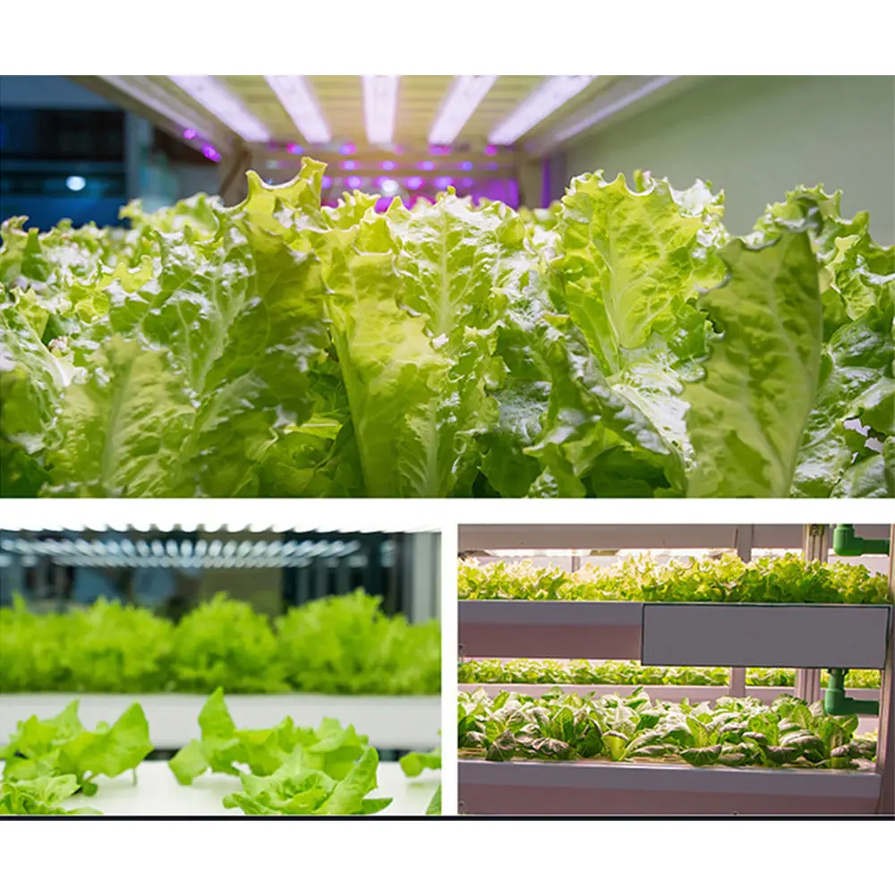 Top Quality LED Grow Lamp UV IR Full spectrum led grow light photontek led grow light