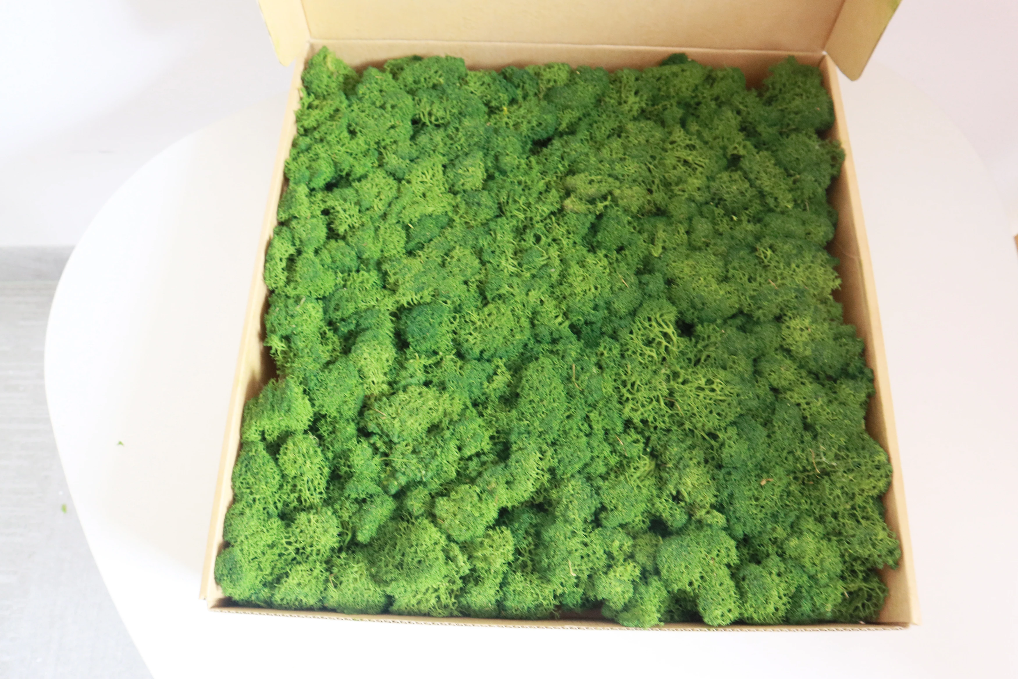 factory wholesale preserved moss sheets moss wall art natural real preserved moss panel for wall home office mall decoration