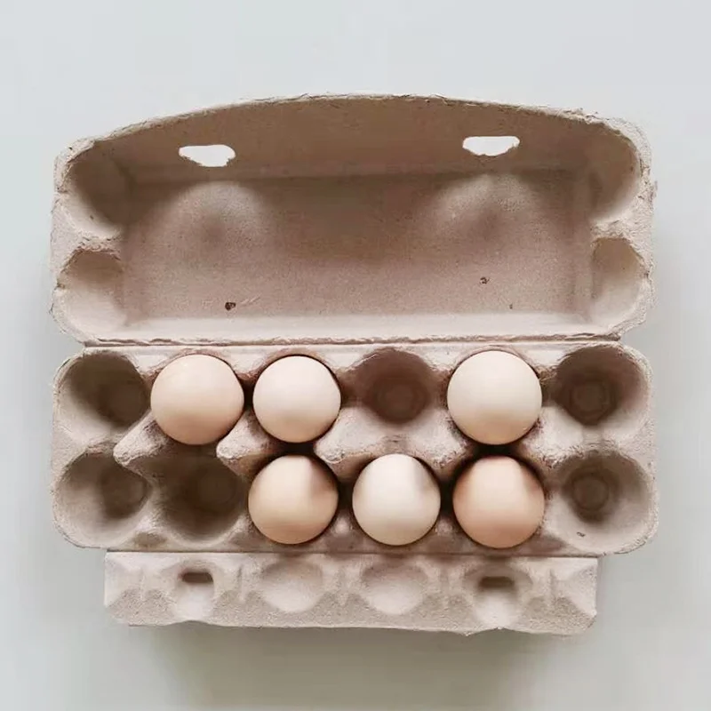 Paper Pulp 12 Pack Egg Tray Wholesale Factory White Yellow Egg Tray Custom Various Styles Hole Egg Tray