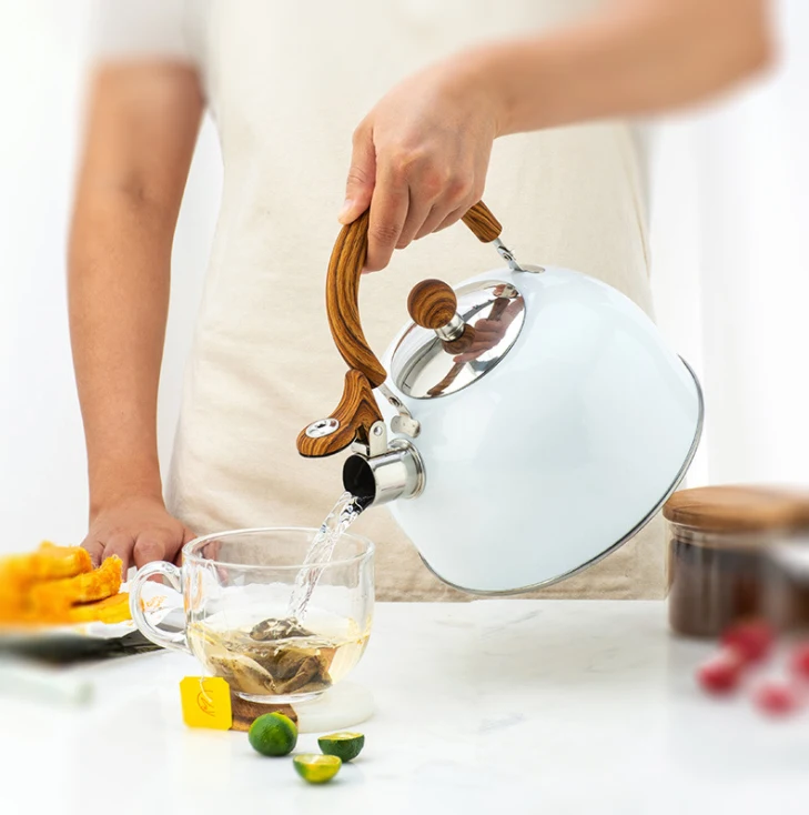 Minimalist Bollitore Kettle With Whistle Tea Kettle Stove Top Stainless Steel Whistling Kettle With Plastic Handle