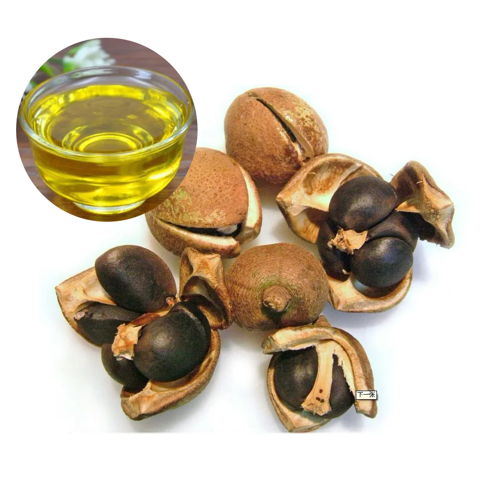 Оптовая продажа, натуральное чистое органическое масло для чайных семян, масло камелии для ухода за кожей