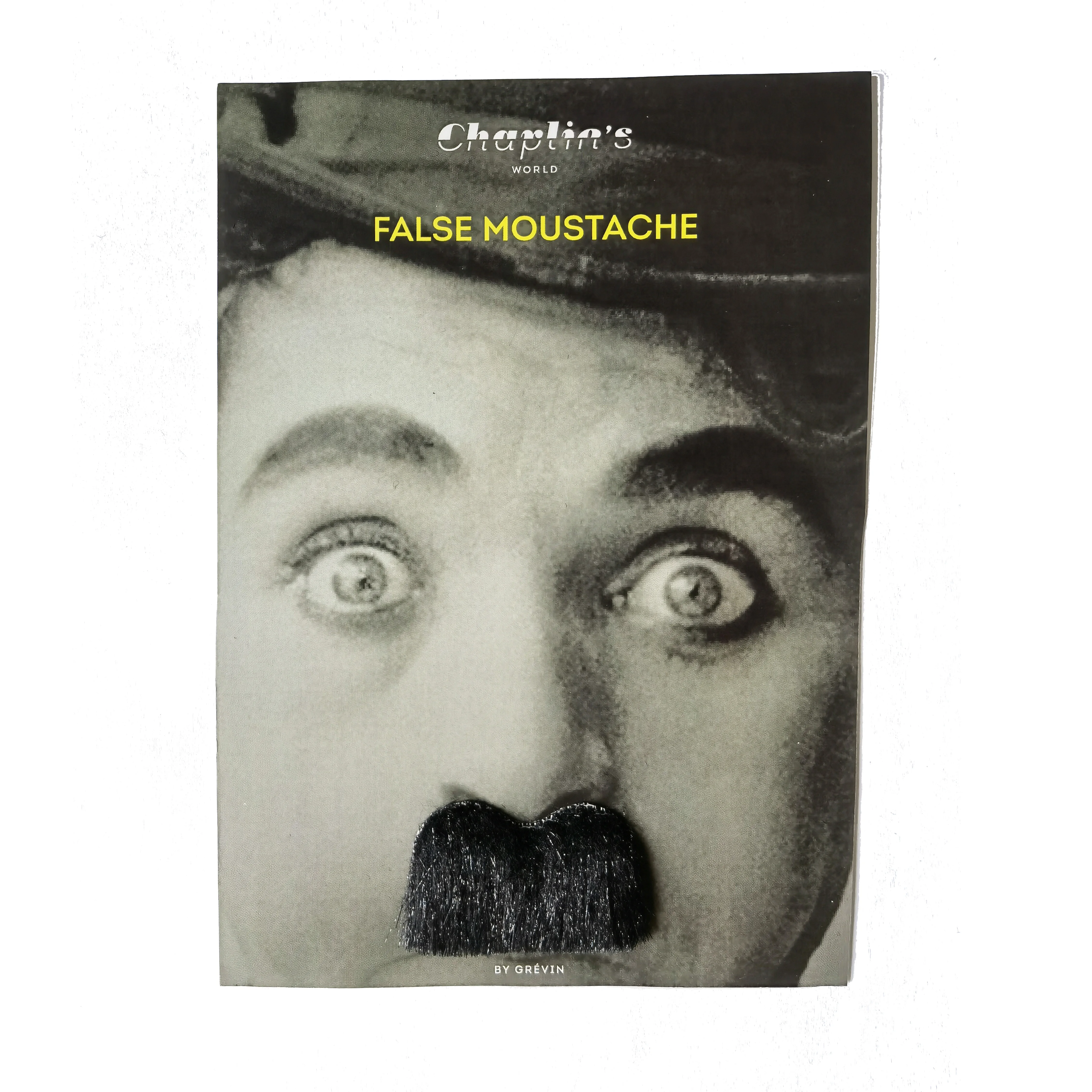 Carnival Chaplin mustache for Halloween New year celebration