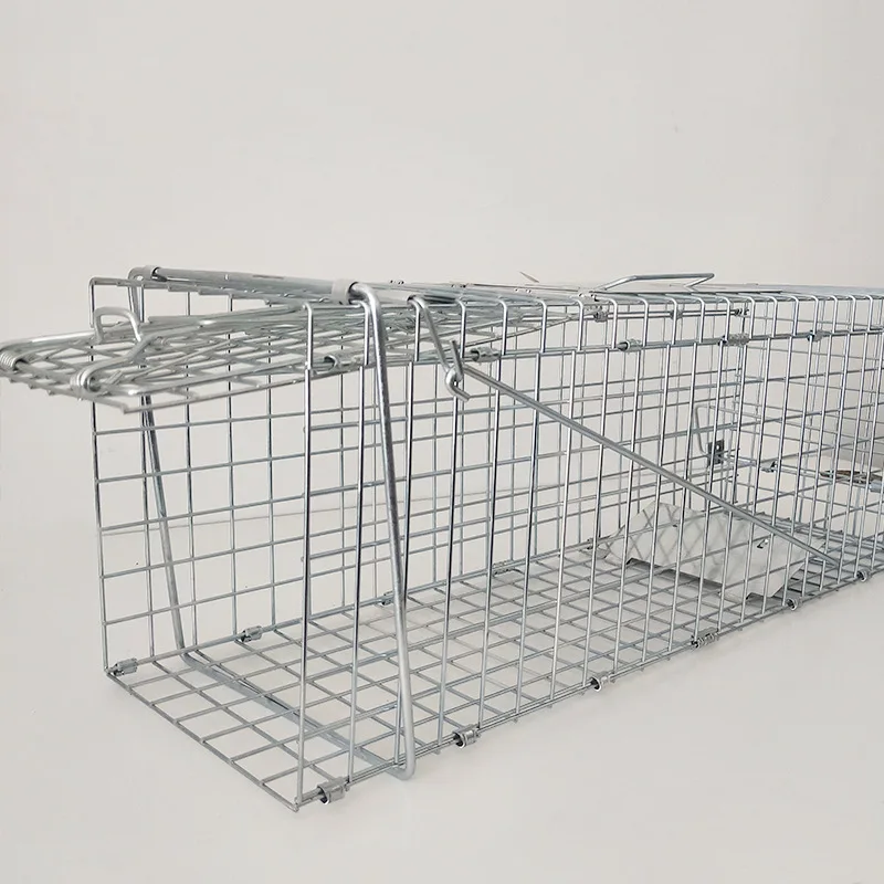 Custom Size Humane Galvanized Iron Foldable Adjustable Live Feral Fox Trapping Cage Trap for Sale