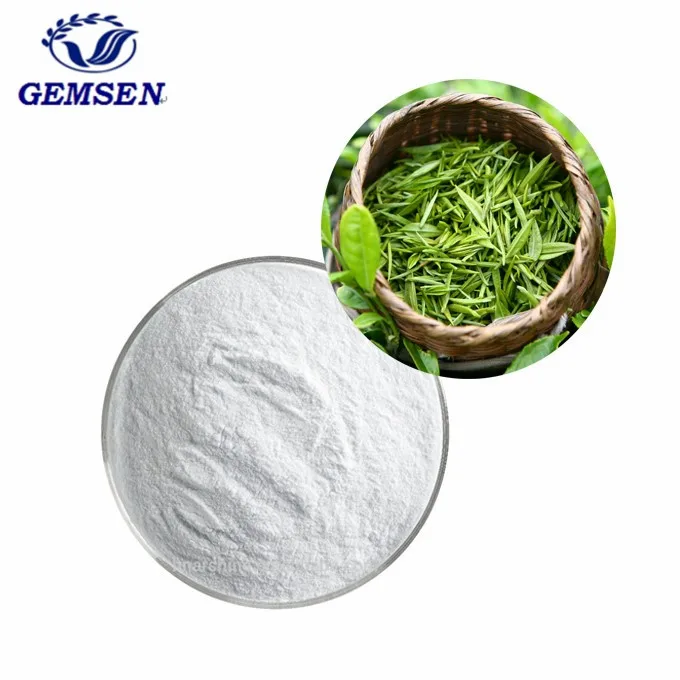 Высокочистый экстракт зеленого чая эпигаллокатехин галлат EGCG 45% 90% 95% 98%