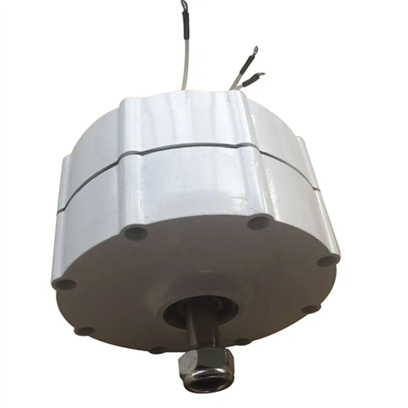 Small permanent magnet generator 100w 200w 300w 12/24/48V low speed silent China factory discount sale
