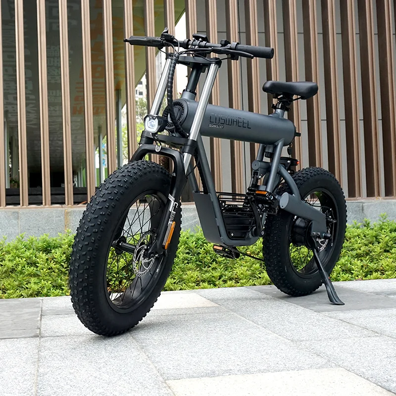 High quality 60km Range mountain bike electric bicycle 500w road bike