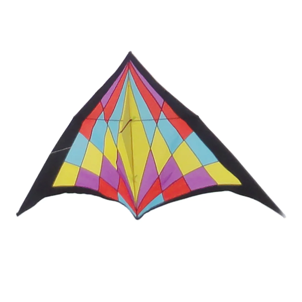 Hot Selling Delta Kite For Gift