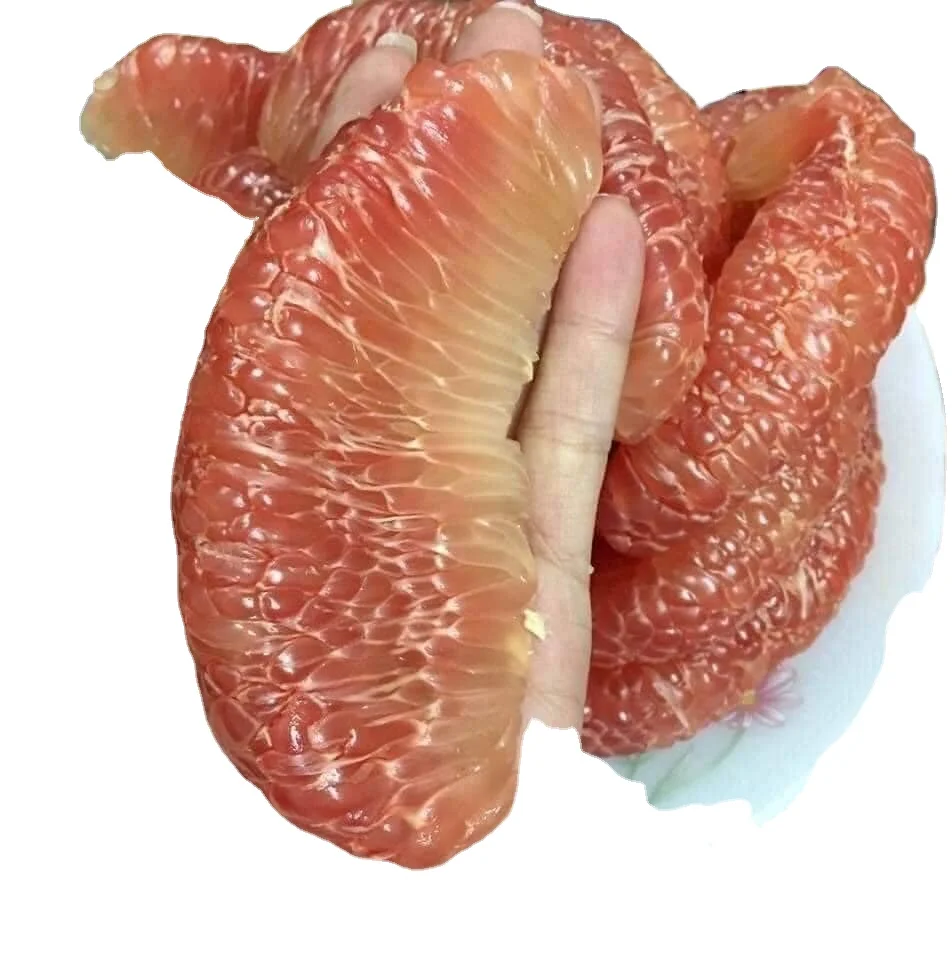 Fresh Pomelo - Super Sweet Juicy Healthy Fresh Pomelo with Thick Meat and Natural Sweet from Viet Nam