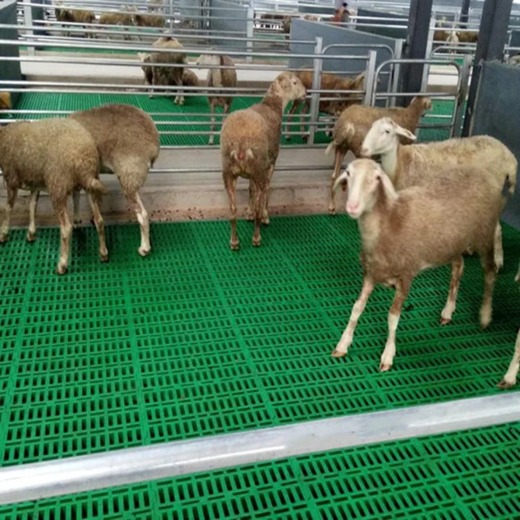 
New type Animal Husbandry Equipment Goat Sheep Poultry Pig Plastic Slat Floor For Goat Farm 