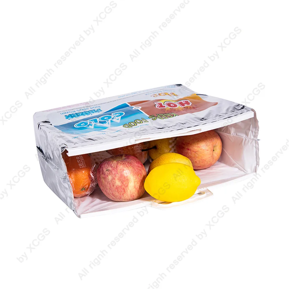 Beer Ice Cream Keep Cold Pizza Dessert Keep Fresh Insulated Pouch Zipper Hand-held Restaurant Food Take-out Thermal Cooler Bags