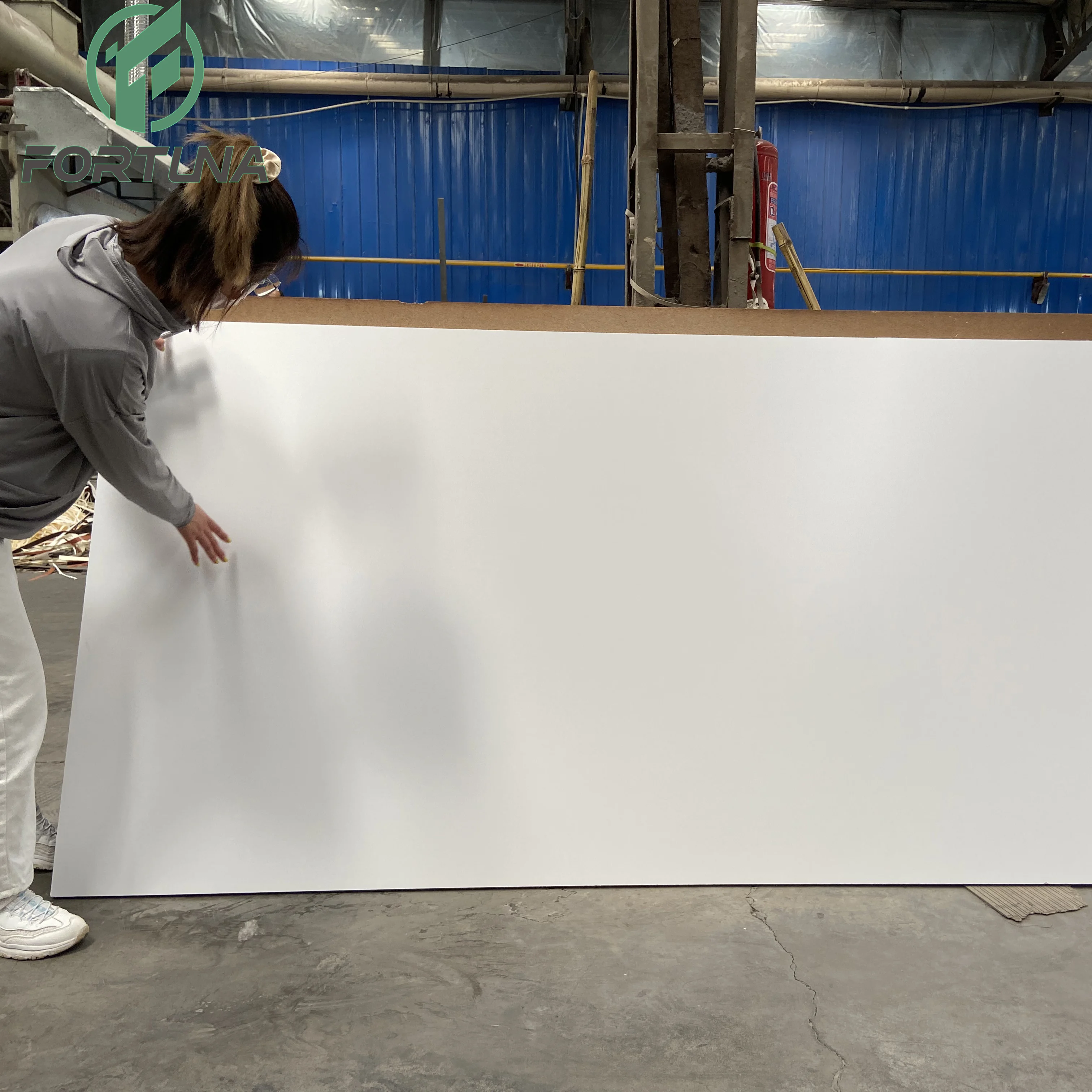 18mm White Melamine Faced Mdf For Furniture