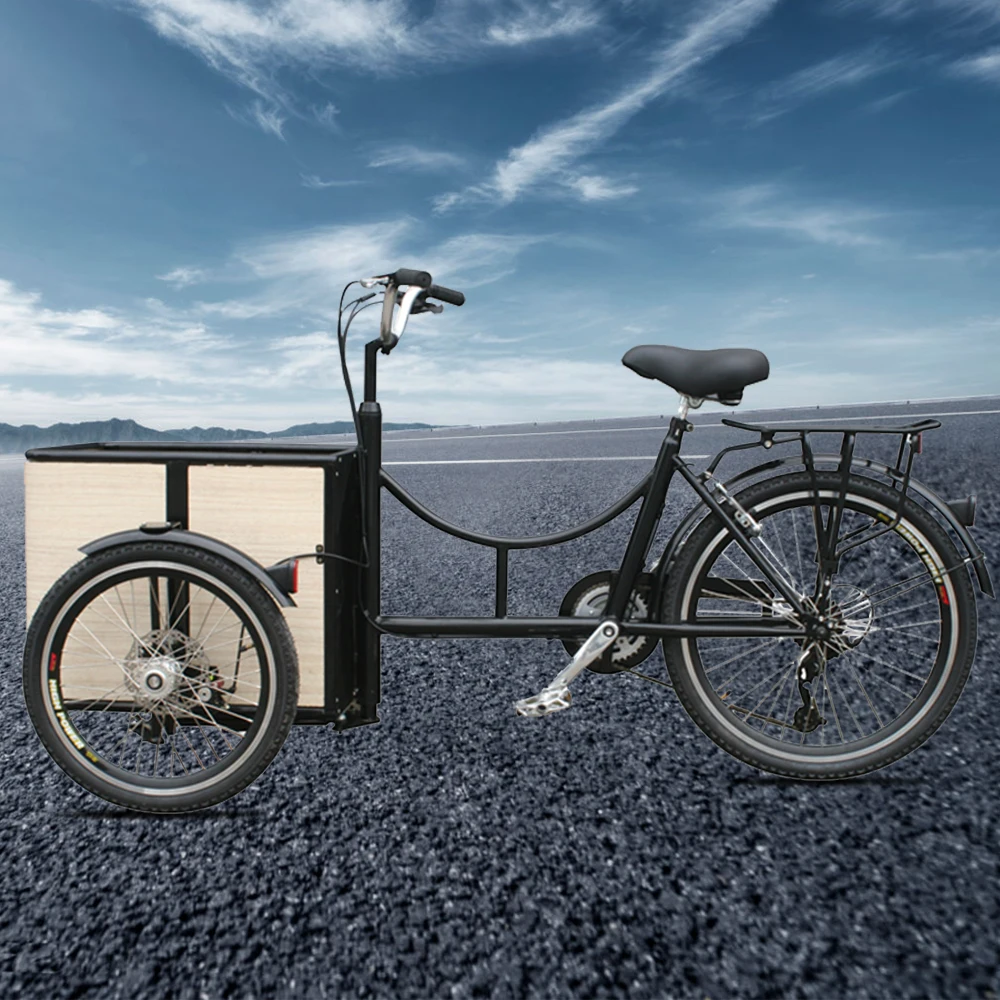  Один kuake быстрая доставка 20 дюймов 48V 500W 13Ah литиевая батарея 3-х колесный Электрический грузовой трицикл фара для