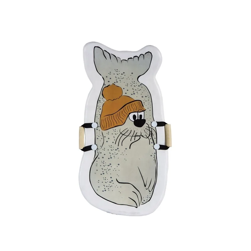 OL-C27 sled snow board kick scooter ski for kids