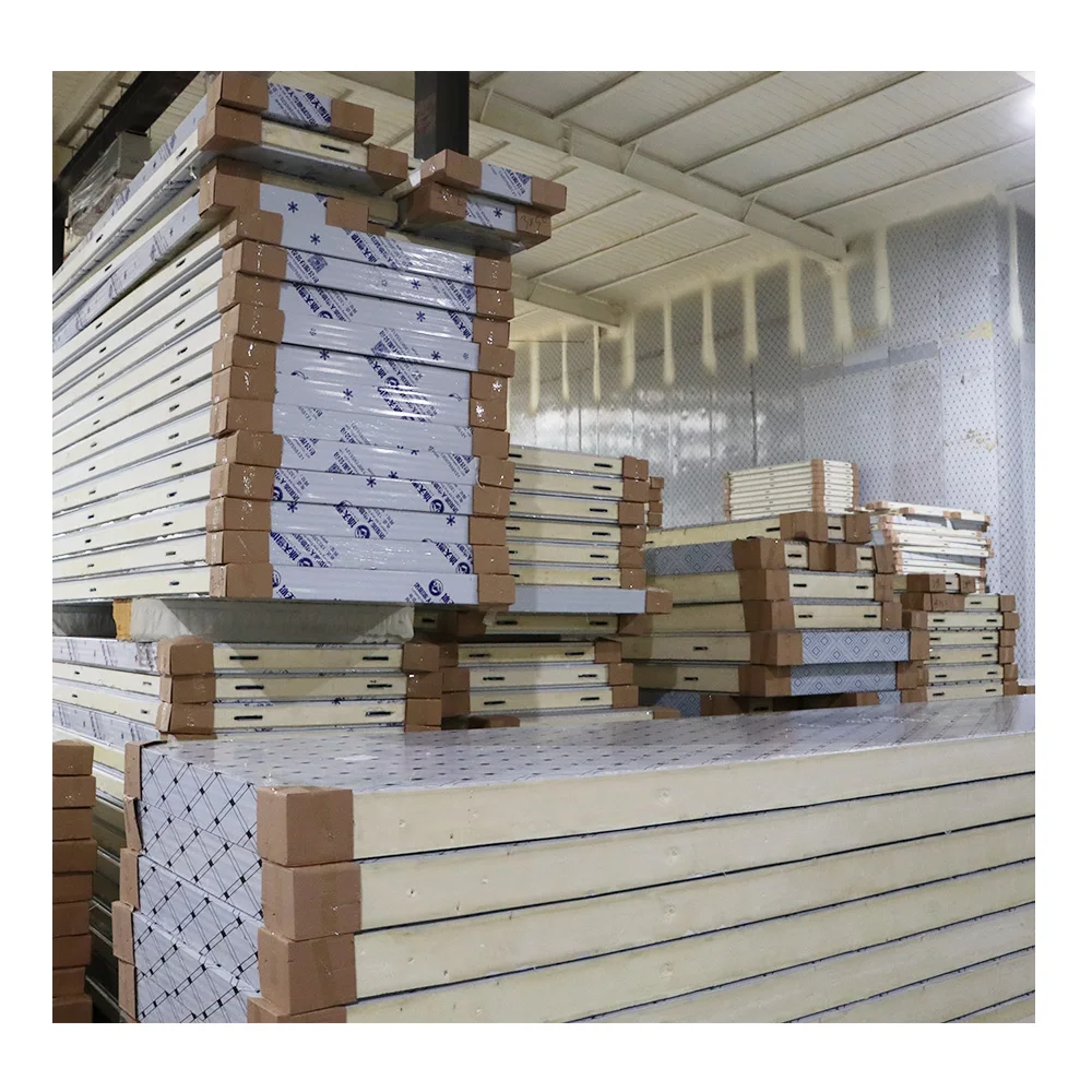 Refrigeration Panels Camlock Pu Panels Modular Cold Storage PU Insulated Camlock Sandwich Panel Cold Room