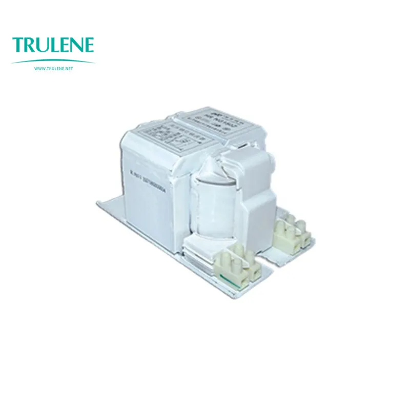 175W-1000W electronic magnetic ballast 600w for lighting