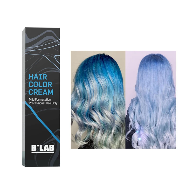 OEM ODM Hair Dye Color for Professional Salon Dye Cream Semi Permanent Hair Color No Ammonia Hair Dyeing  Cream