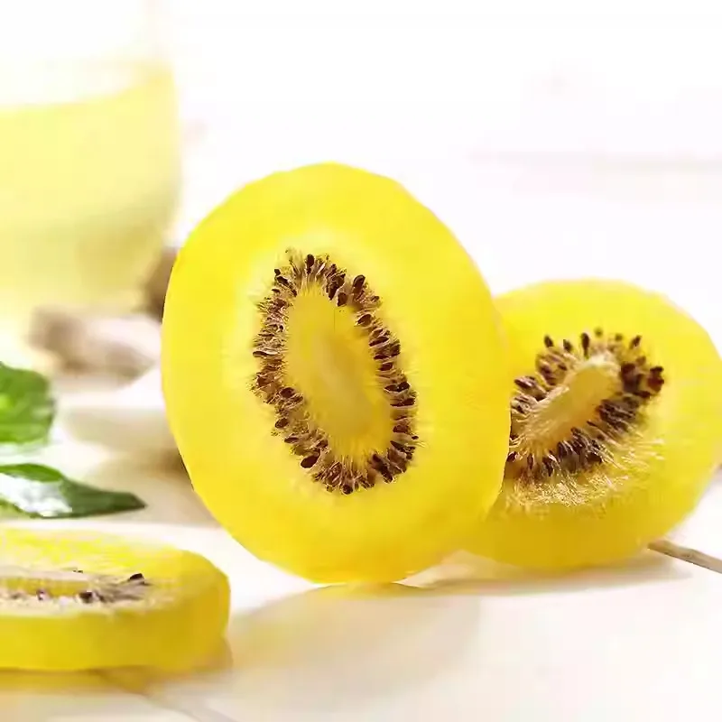 Dried Kiwi Premium Quality Dried Fruit for Healthy Snacking