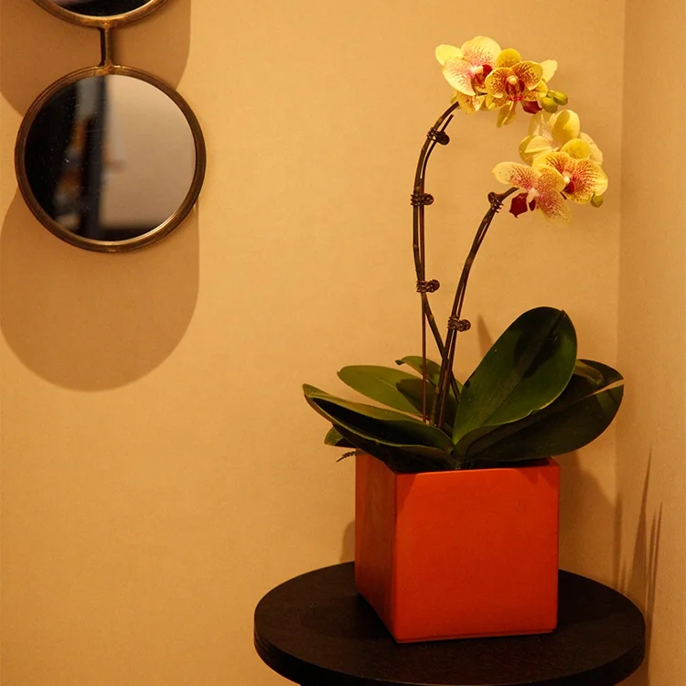 Wholesale Cheap Competitive Price Home Decoration Garden Inside Big Size Flowers Pots