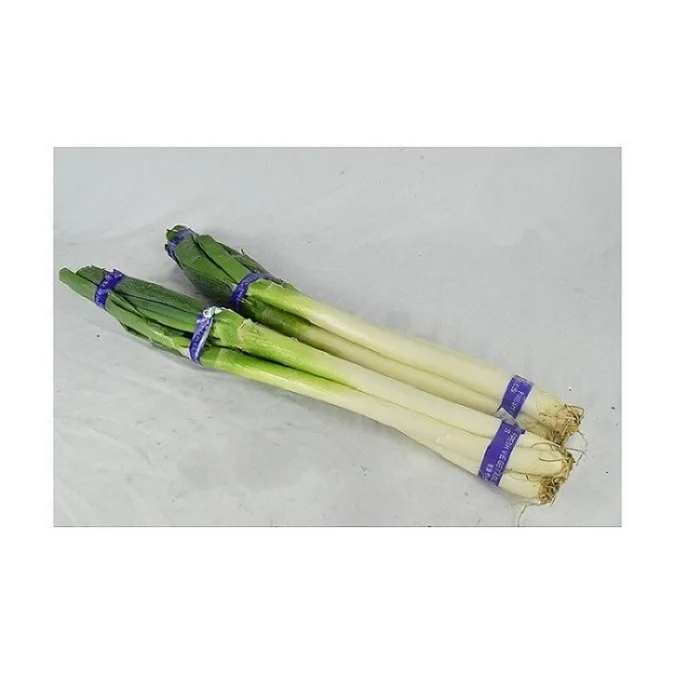 
Direct Selling Fresh Chinese Cabbage Green Onions Wholesale Green Onions 