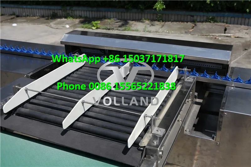 duck egg sorter machine/10000pcs per hour egg grader classifier/electronic egg sorting machine