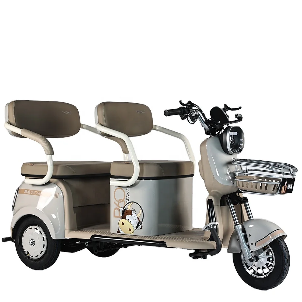 650W Electric Tricycle Bike Cheap Electric Tricycle For Adults electric bike with3 wheels for person.