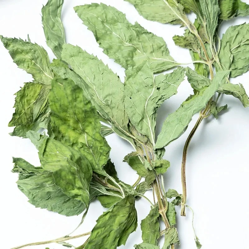 Wholesale Organic Healthy Mint Leaf Spearmint Tea Peppermint Wintermint Leave Tea