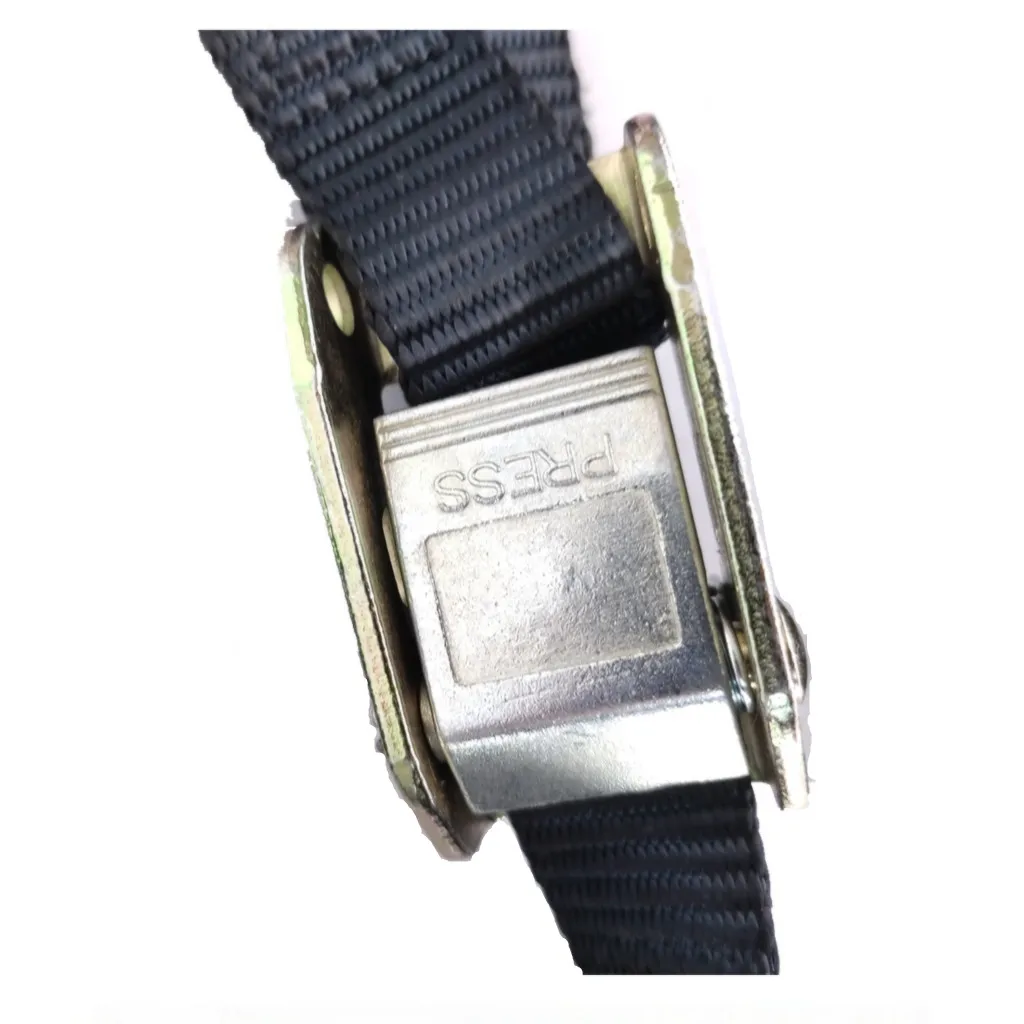 Wholesale Customized Motorcycle Ratchet Tie Down Cam buckle tie down strap On Sale lashing belt