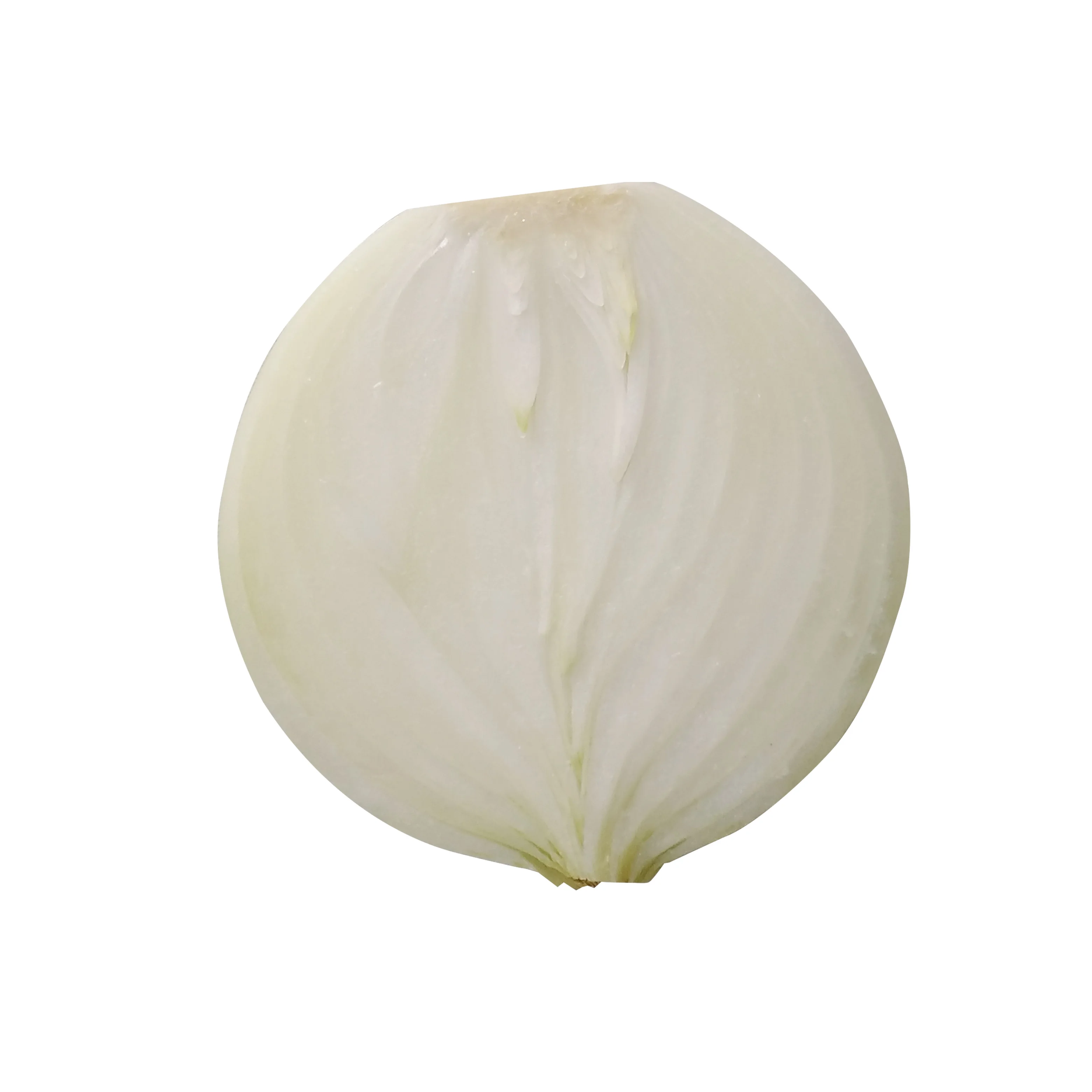 Ферма самостоятельно производит и экспортирует желтый лук