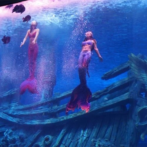 clear acrylic glass for marine fish tank aquarium underwater sea world acryl