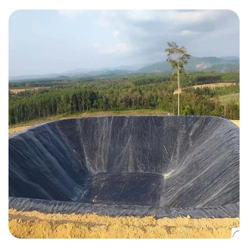 PVC Membrane Damp Proof Membrane HDPE Geomembrane Liner