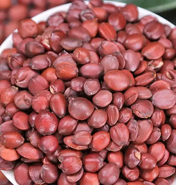 Hotsale natural wild spice dry raw Spina Date Seed