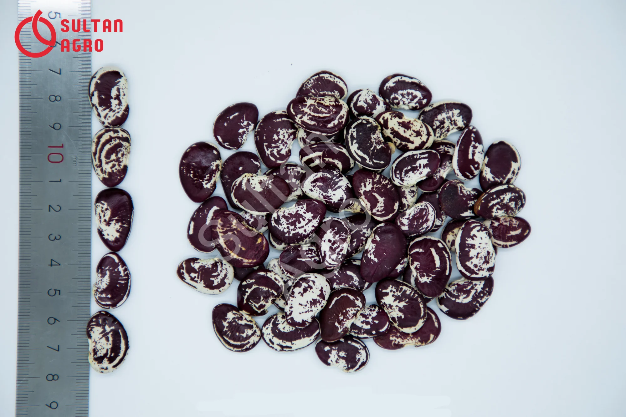 Натуральная красная зернистая фасоль, Высококачественная Органическая фасоль оптом от производителя Узбекистана