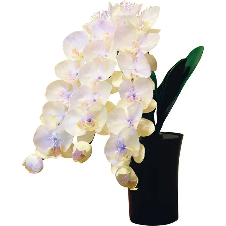 Wholesale luminous butterfly orchid light up artificial flowers with led