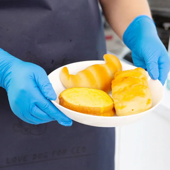 Factory gloves 100 nitrile gloves