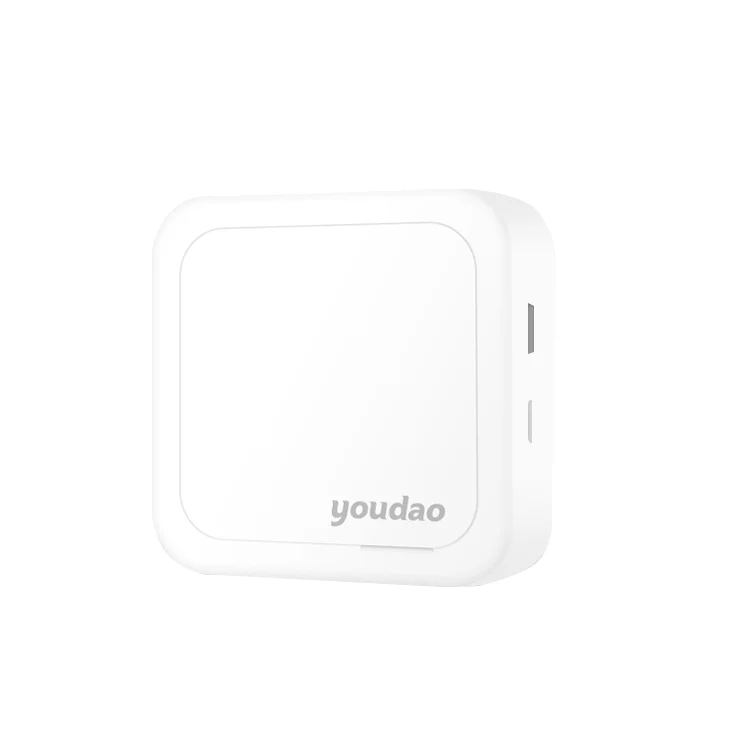 
Карманный принтер Youdao GT1, принтер для этикеток, Мини Портативный фотопринтер 