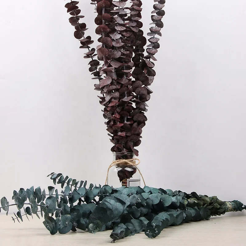wall decoration white dried plants eucalyptus leaves wreath flower garland preserved flowers dried preserved