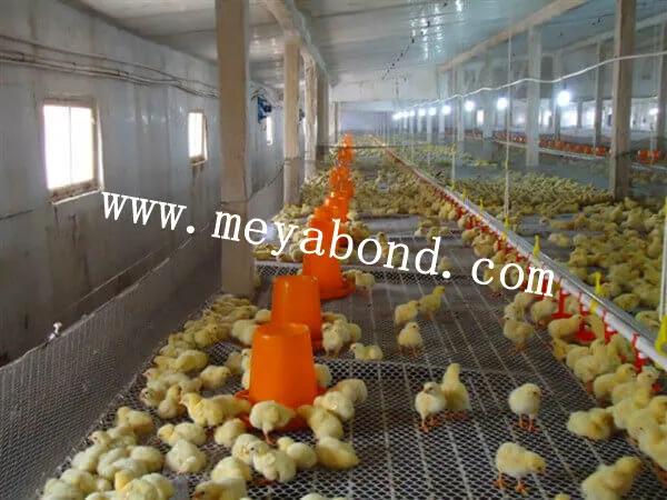 High Strength Plastic Plain net Poultry Farming Fence Poultry Netting