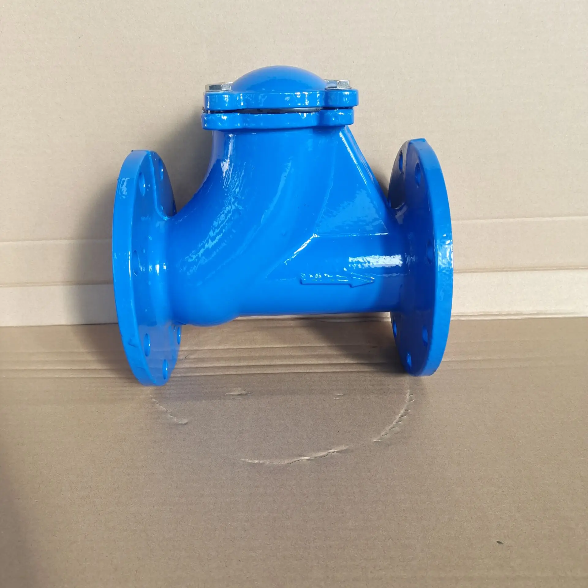 
PN16 DN100 Cast Iron rubber ball Check Valve 