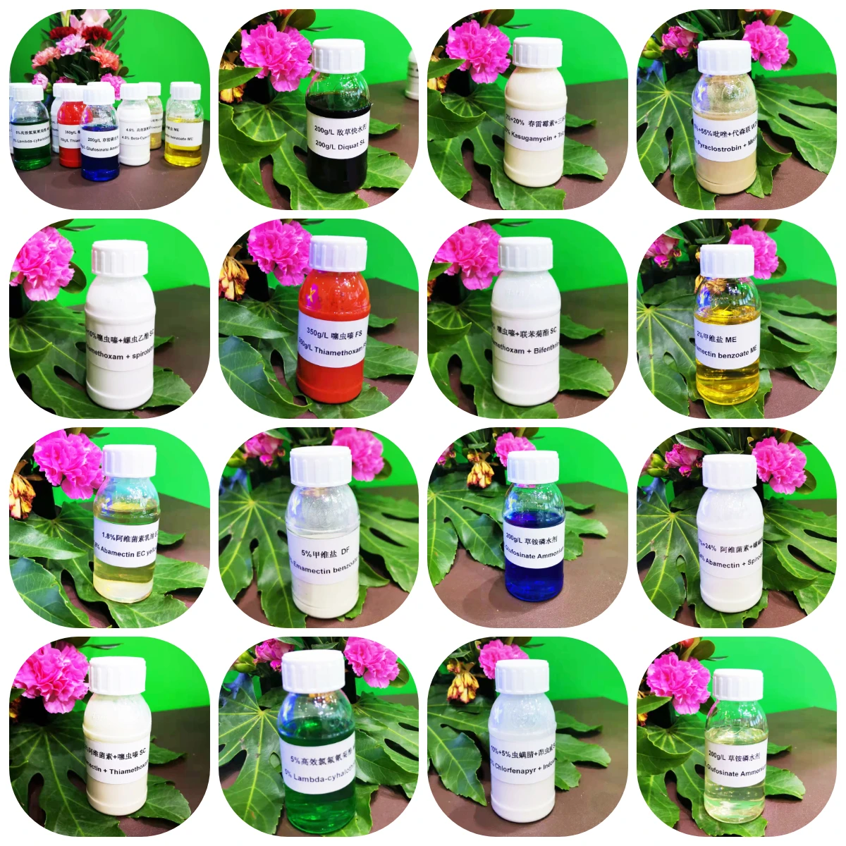 High Quality Insecticide Thiacloprid 95% Tc 24% Sc 48% Sc 240g/l Sc With Factory Best Price.jpg