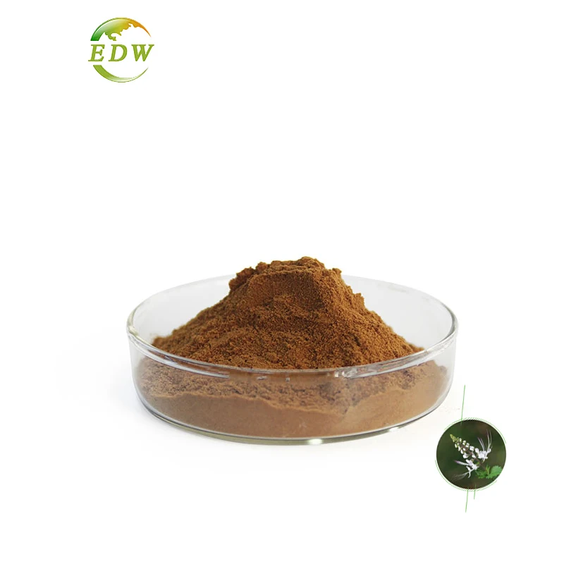 Herb Orthosiphon Stamineus Extract Orthosiphon Stamineus Powder Orthosiphon Stamineus P.E.10:1 20:1