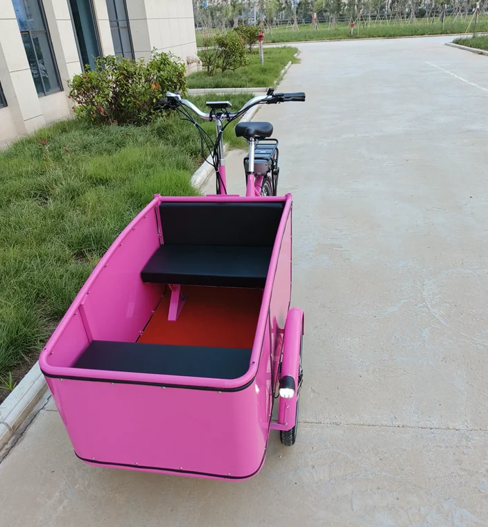 2 front wheels trikes Motorized E bike Electric assist Cargo Trike Electric Cargo Tricycle for sale