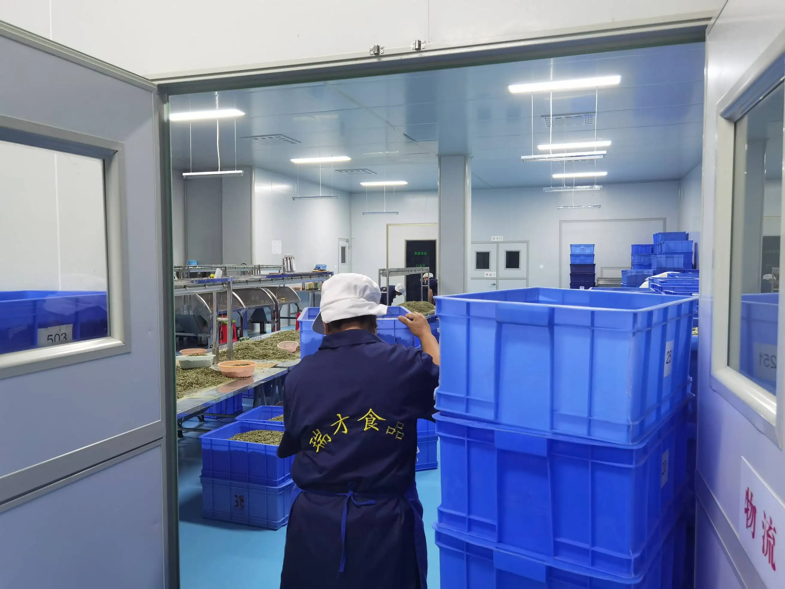 Заводская поставка Лидер продаж внутренние грецкие орехи
