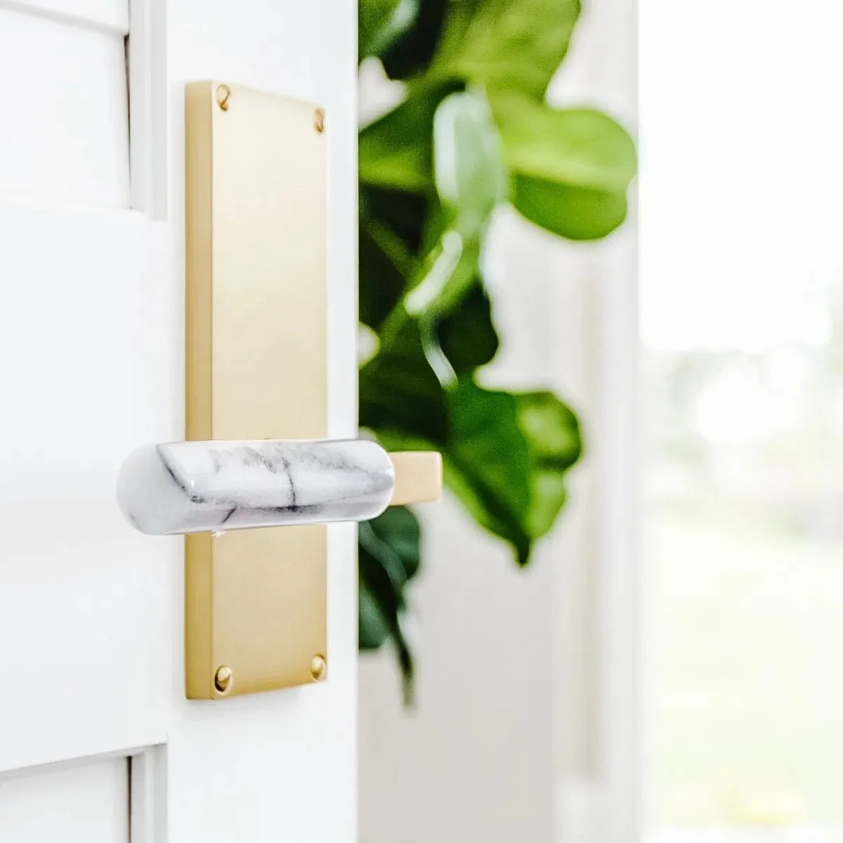 
Gold color Fancy Modern zinc alloy material hot sale dummy storeroom privacy keyless door knob locks OEM 