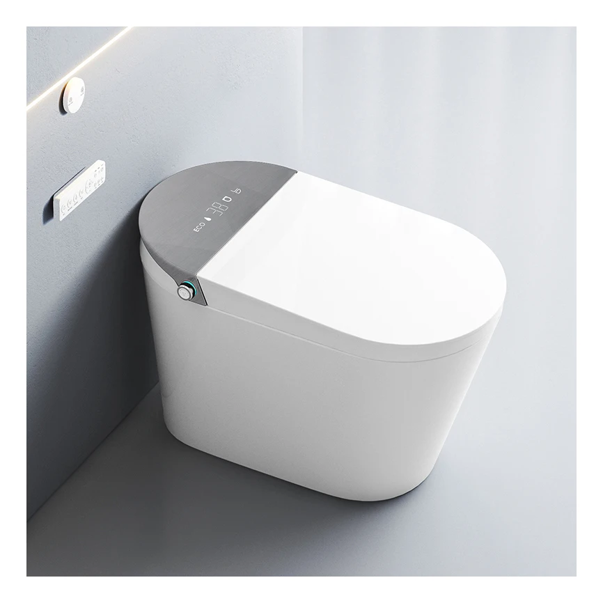 High Quality Hygienic WC Toilet Sanitary Ware One Piece Smart Toilet with Seat Automatic Close and Open