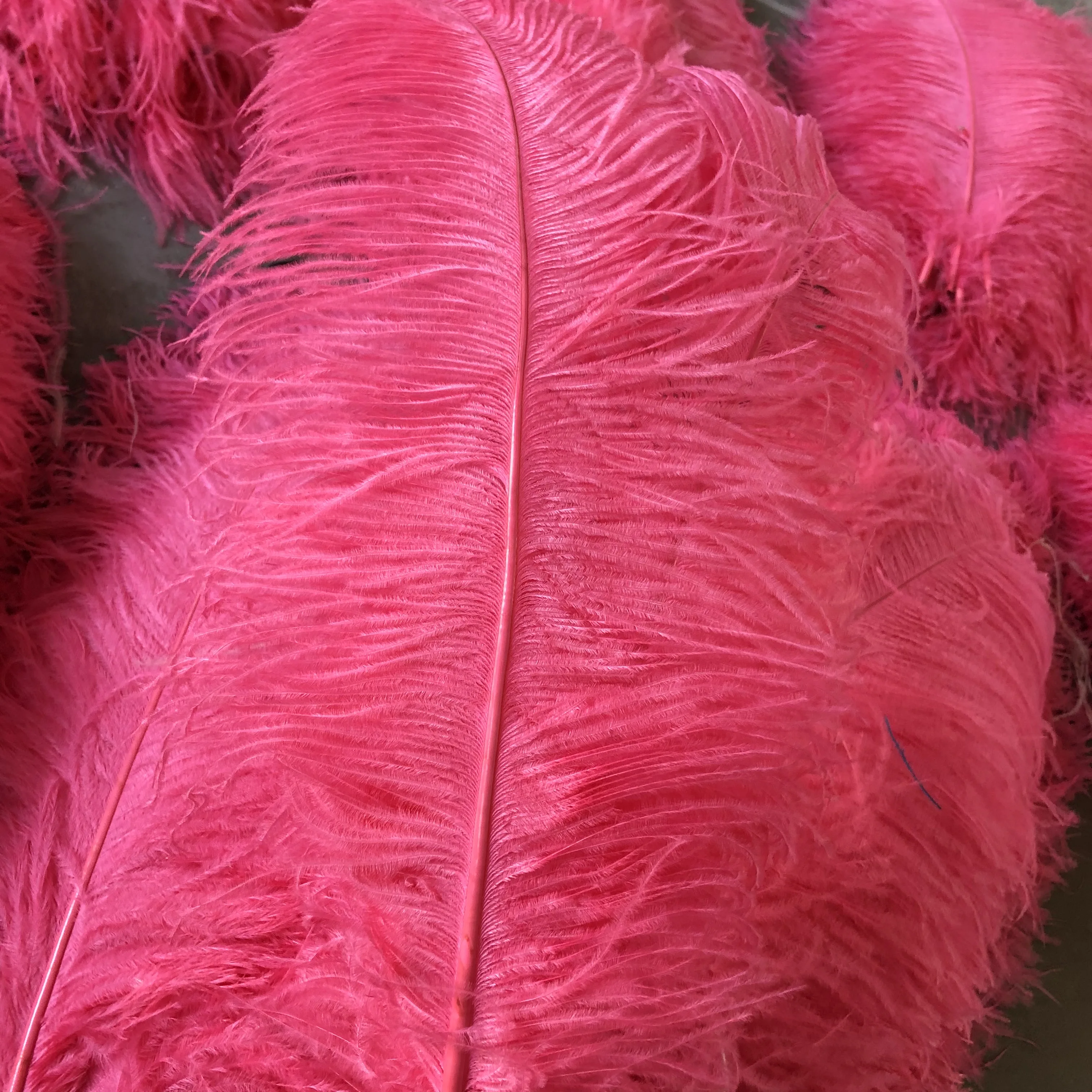Factory wholesale Decor colorful Ostrich Feathers cheap for Wedding wall decoration