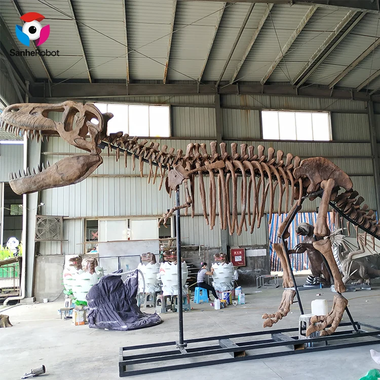 Музей скелета динозавра Юрского периода король T-rex окаменелости динозавр тираннозавр рекс череп копия для продажи