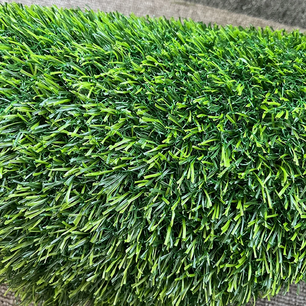 Free Sample Home Faux Grass 20mm 30mm Pile Height Astro Grass Rug for Garden and Backyard