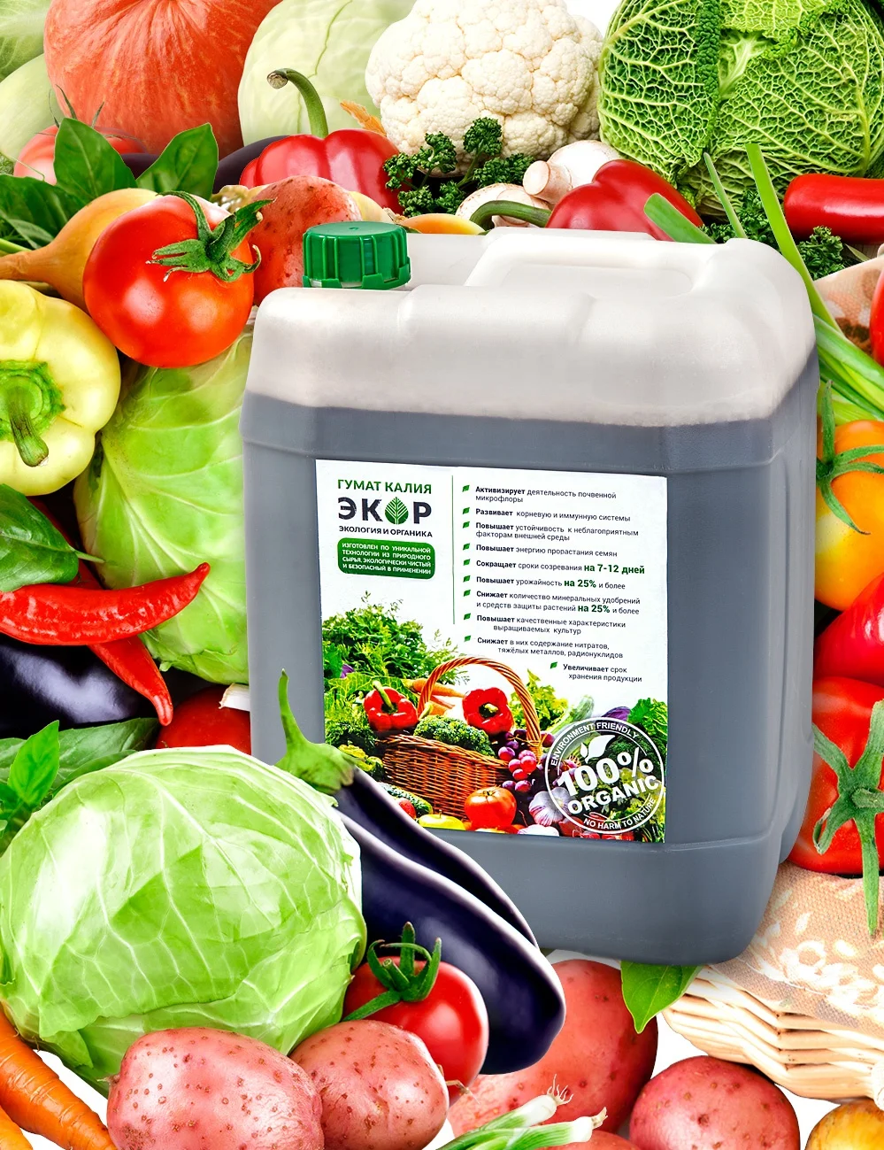 EKOR Humic Acid Liquid Organic Fertilizer for maize