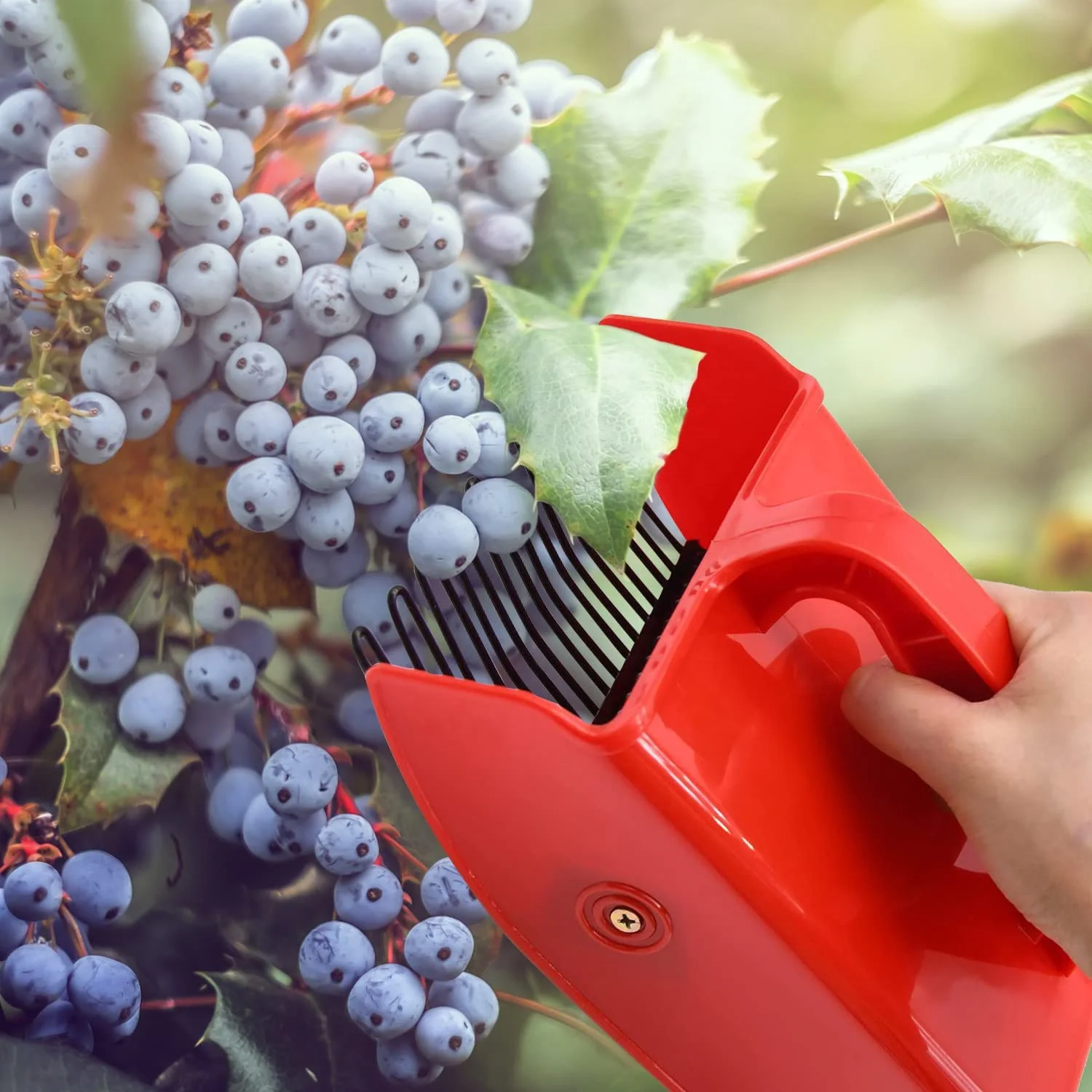 Hot Sale OEM ODM Customization Harvest Aid for Blueberry with Metallic Comb Manual Blueberry Picker